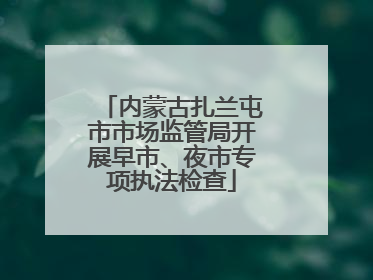 内蒙古扎兰屯市市场监管局开展早市、夜市专项执法检查