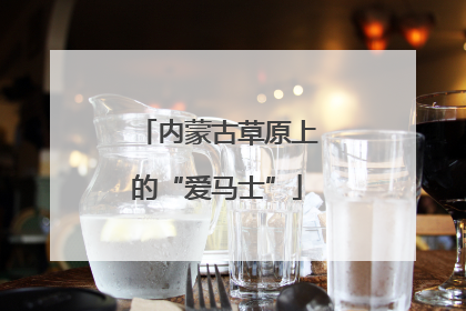 内蒙古草原上的“爱马士”