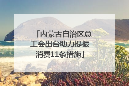 内蒙古自治区总工会出台助力提振消费11条措施