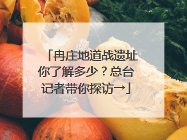 冉庄地道战遗址你了解多少？总台记者带你探访→