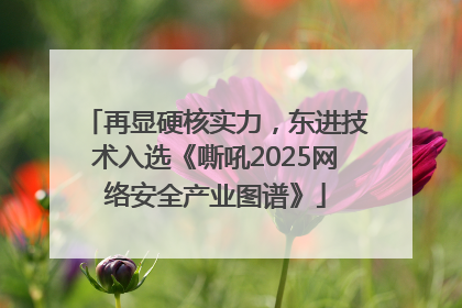 再显硬核实力，东进技术入选《嘶吼2025网络安全产业图谱》