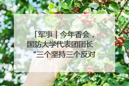 军事｜今年香会，国防大学代表团团长“三个坚持三个反对”说明了什么？