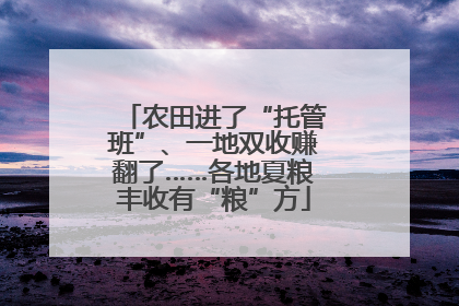 农田进了“托管班”、一地双收赚翻了……各地夏粮丰收有“粮”方