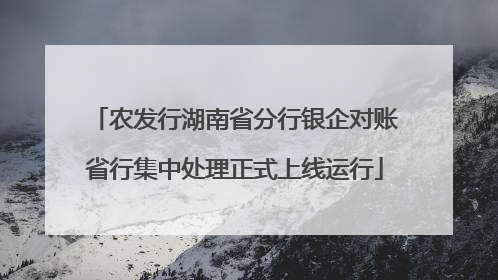 农发行湖南省分行银企对账省行集中处理正式上线运行