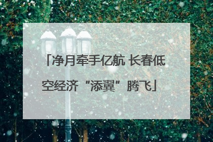 净月牵手亿航 长春低空经济“添翼”腾飞