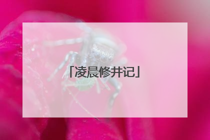 凌晨修井记