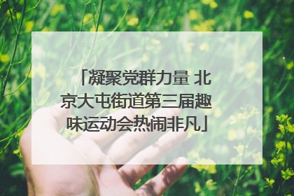 凝聚党群力量 北京大屯街道第三届趣味运动会热闹非凡