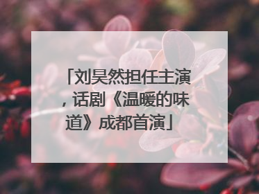 刘昊然担任主演，话剧《温暖的味道》成都首演