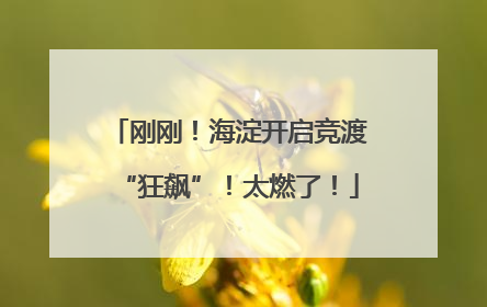 刚刚！海淀开启竞渡“狂飙”！太燃了！