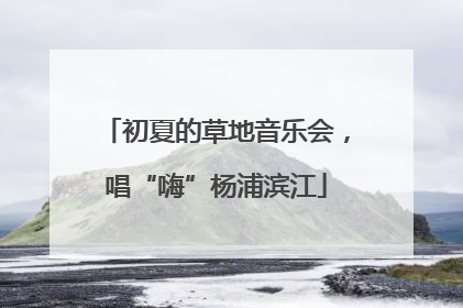 初夏的草地音乐会，唱“嗨”杨浦滨江