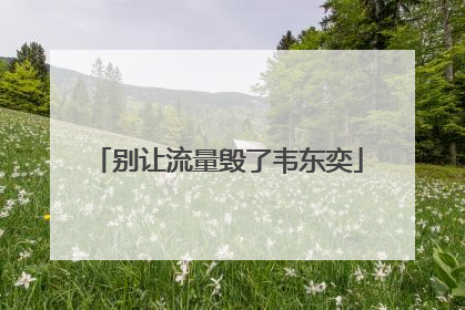 别让流量毁了韦东奕
