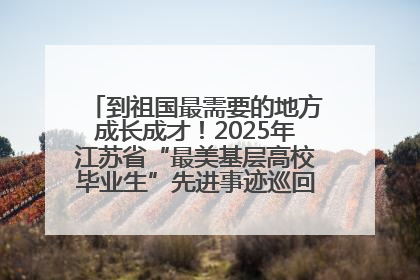 到祖国最需要的地方成长成才！2025年江苏省“最美基层高校毕业生”先进事迹巡回宣讲会在宁启动