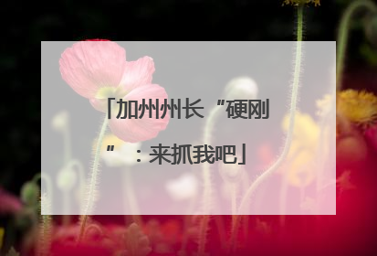 加州州长“硬刚”：来抓我吧