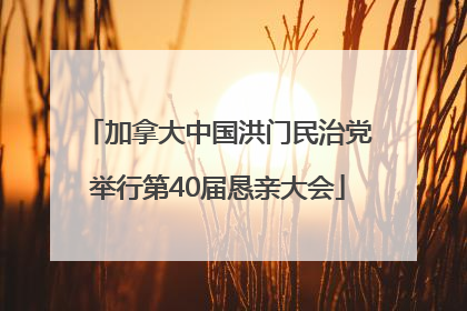 加拿大中国洪门民治党举行第40届恳亲大会