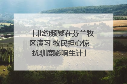 北约频繁在芬兰牧区演习 牧民担心惊扰驯鹿影响生计