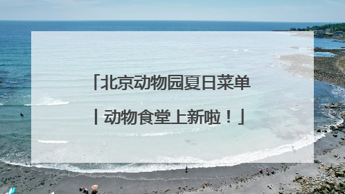 北京动物园夏日菜单丨动物食堂上新啦！