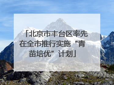 北京市丰台区率先在全市推行实施“青苗培优”计划