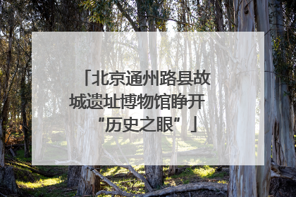 北京通州路县故城遗址博物馆睁开“历史之眼”