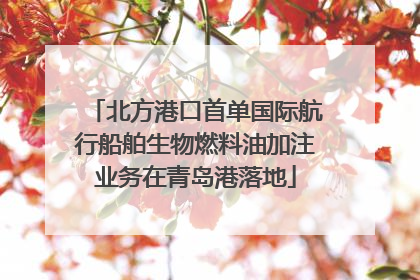 北方港口首单国际航行船舶生物燃料油加注业务在青岛港落地