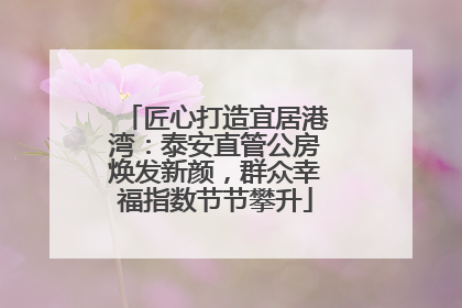 匠心打造宜居港湾：泰安直管公房焕发新颜，群众幸福指数节节攀升