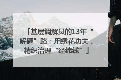 基层调解员的13年“解题”路：用绣花功夫，精织治理“经纬线”