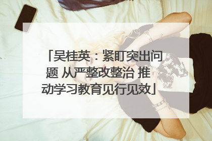 吴桂英：紧盯突出问题 从严整改整治 推动学习教育见行见效