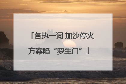 各执一词 加沙停火方案陷“罗生门”