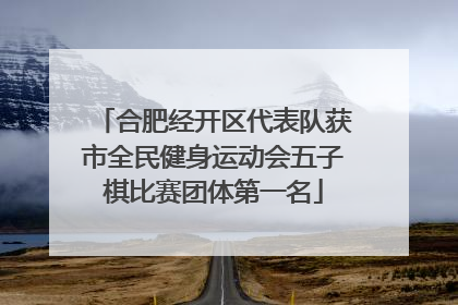 合肥经开区代表队获市全民健身运动会五子棋比赛团体第一名