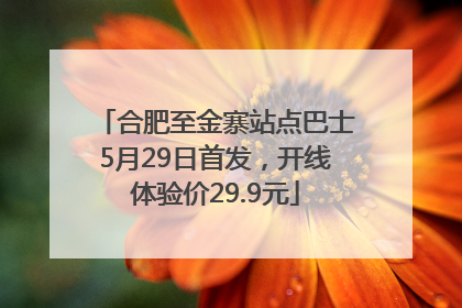 合肥至金寨站点巴士5月29日首发，开线体验价29.9元