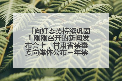 向好态势持续巩固！刚刚召开的新闻发布会上，甘肃省禁毒委向媒体公布三年禁毒工作“成绩单”