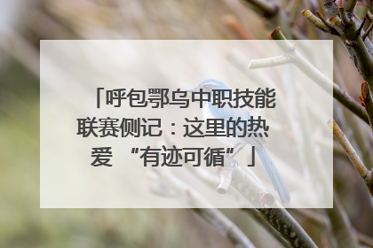 呼包鄂乌中职技能联赛侧记：这里的热爱 “有迹可循”