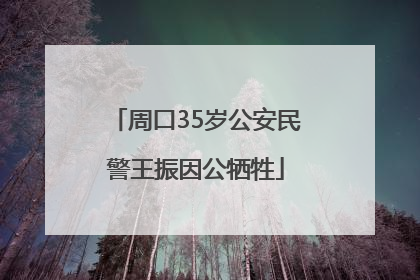 周口35岁公安民警王振因公牺牲