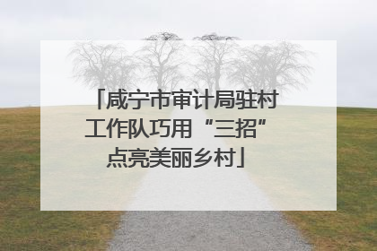 咸宁市审计局驻村工作队巧用“三招”点亮美丽乡村