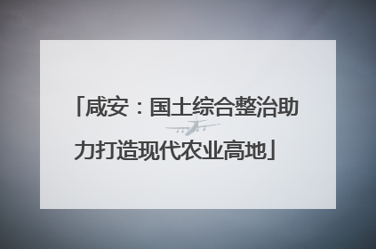 咸安：国土综合整治助力打造现代农业高地