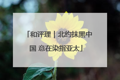 和评理｜北约抹黑中国 意在染指亚太