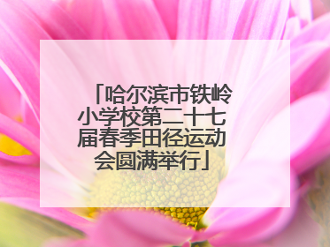 哈尔滨市铁岭小学校第二十七届春季田径运动会圆满举行