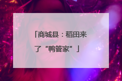 商城县：稻田来了“鸭管家”