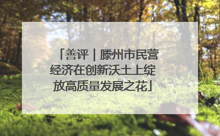 善评｜滕州市民营经济在创新沃土上绽放高质量发展之花