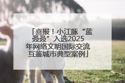 喜报！小江豚“蓝叒叒”入选2025年网络文明国际交流互鉴城市典型案例