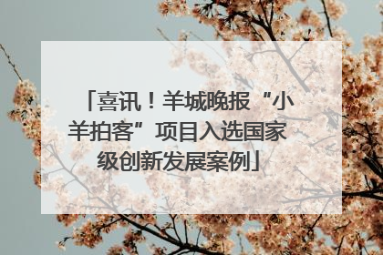 喜讯！羊城晚报“小羊拍客”项目入选国家级创新发展案例