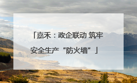 嘉禾：政企联动 筑牢安全生产“防火墙”