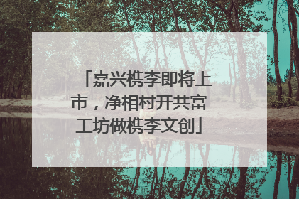 嘉兴槜李即将上市，净相村开共富工坊做槜李文创