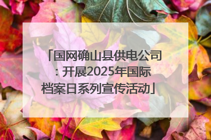 国网确山县供电公司：开展2025年国际档案日系列宣传活动
