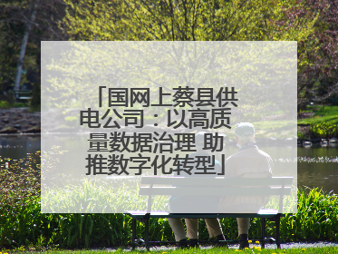 国网上蔡县供电公司：以高质量数据治理 助推数字化转型