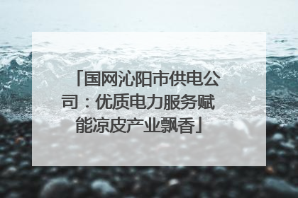 国网沁阳市供电公司：优质电力服务赋能凉皮产业飘香