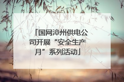 国网漳州供电公司开展“安全生产月”系列活动