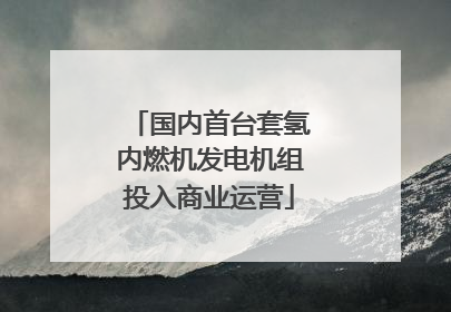 国内首台套氢内燃机发电机组投入商业运营