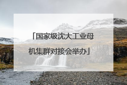 国家级沈大工业母机集群对接会举办