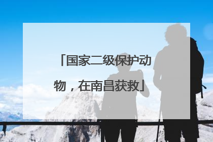 国家二级保护动物，在南昌获救