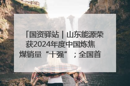 国资驿站｜山东能源荣获2024年度中国炼焦煤销量“十强”；全国首例铁路盖上智慧物流园钢结构主体完工